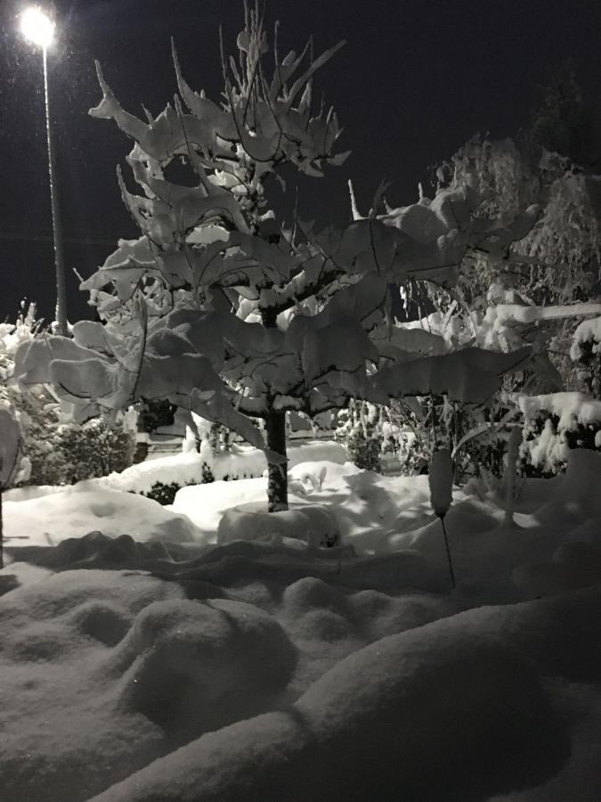 Zur Alten Scheune Balingen Luaran gambar