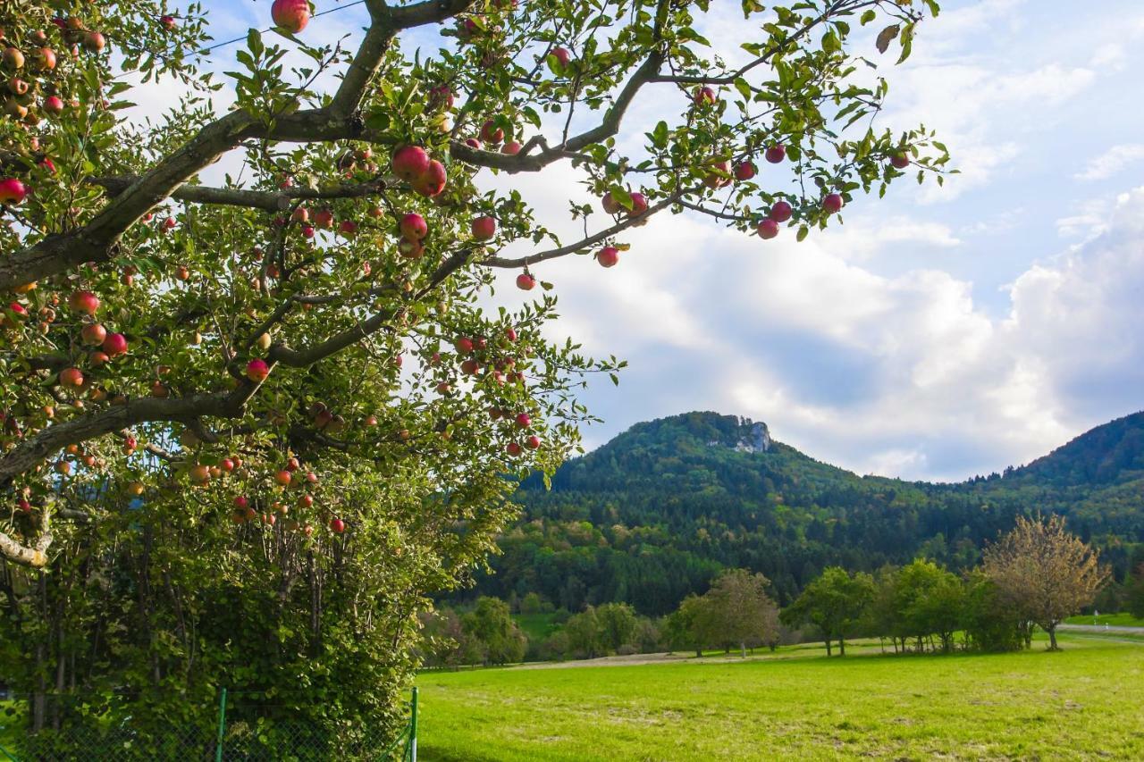 Zur Alten Scheune Balingen Luaran gambar