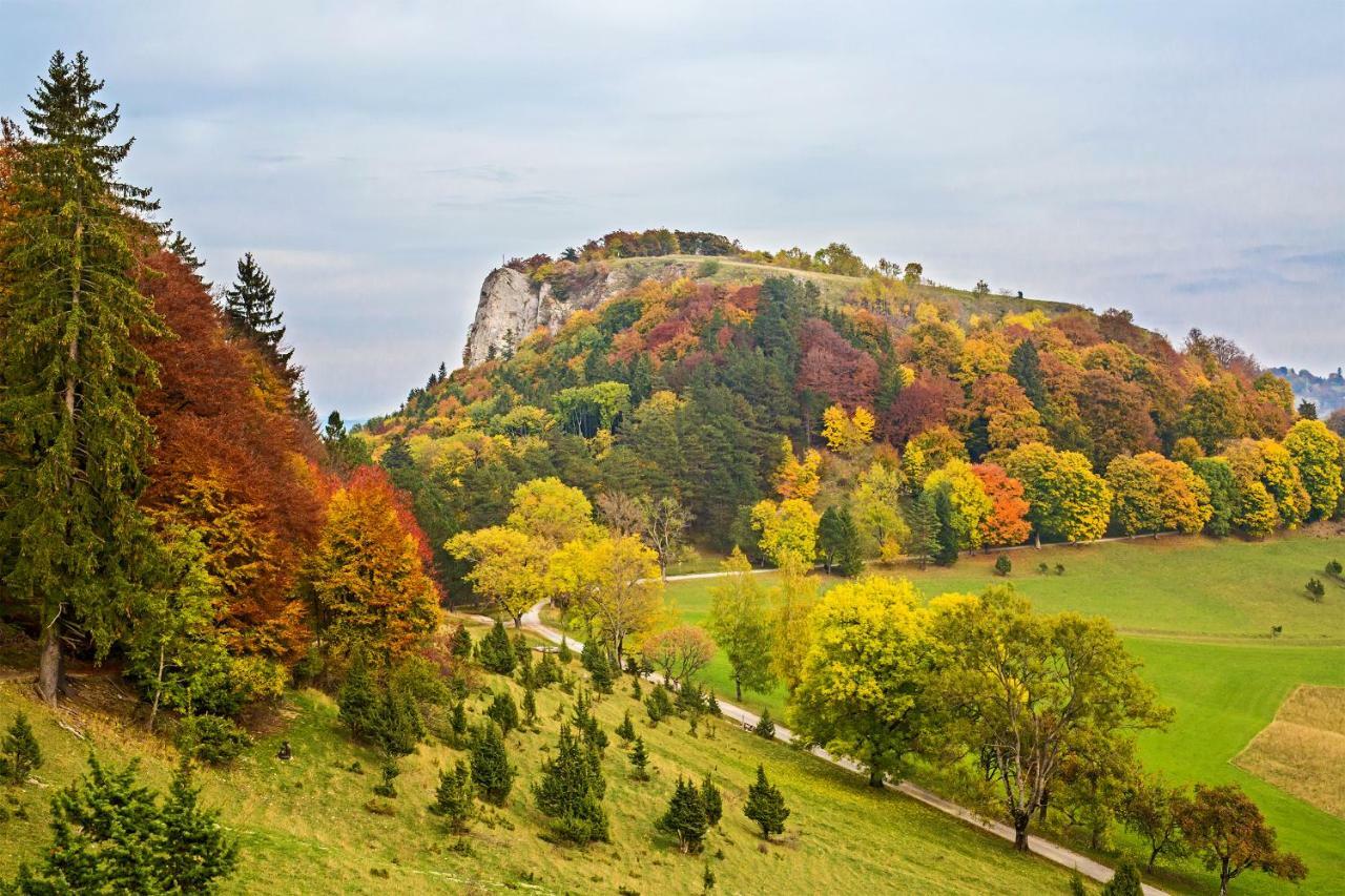 Zur Alten Scheune Balingen Luaran gambar