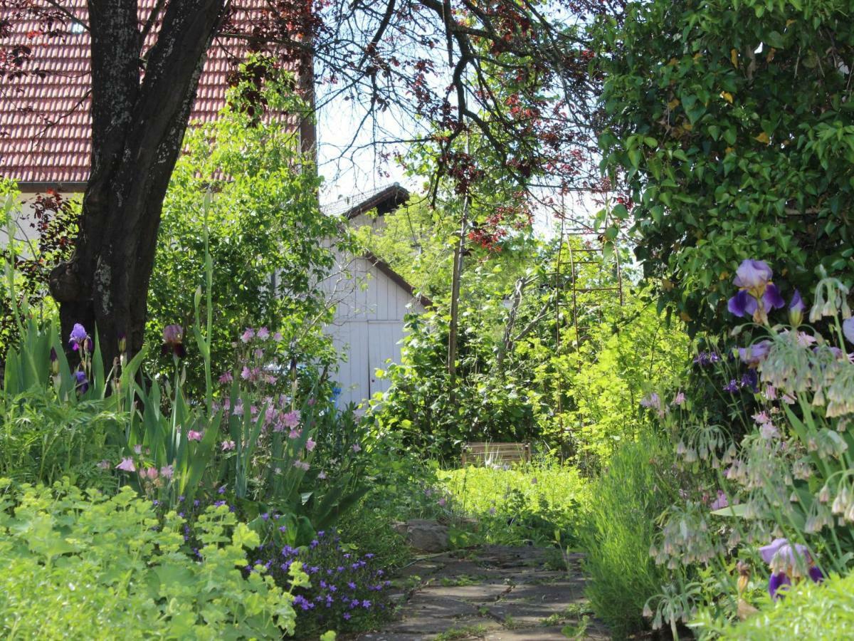 Zur Alten Scheune Balingen Luaran gambar