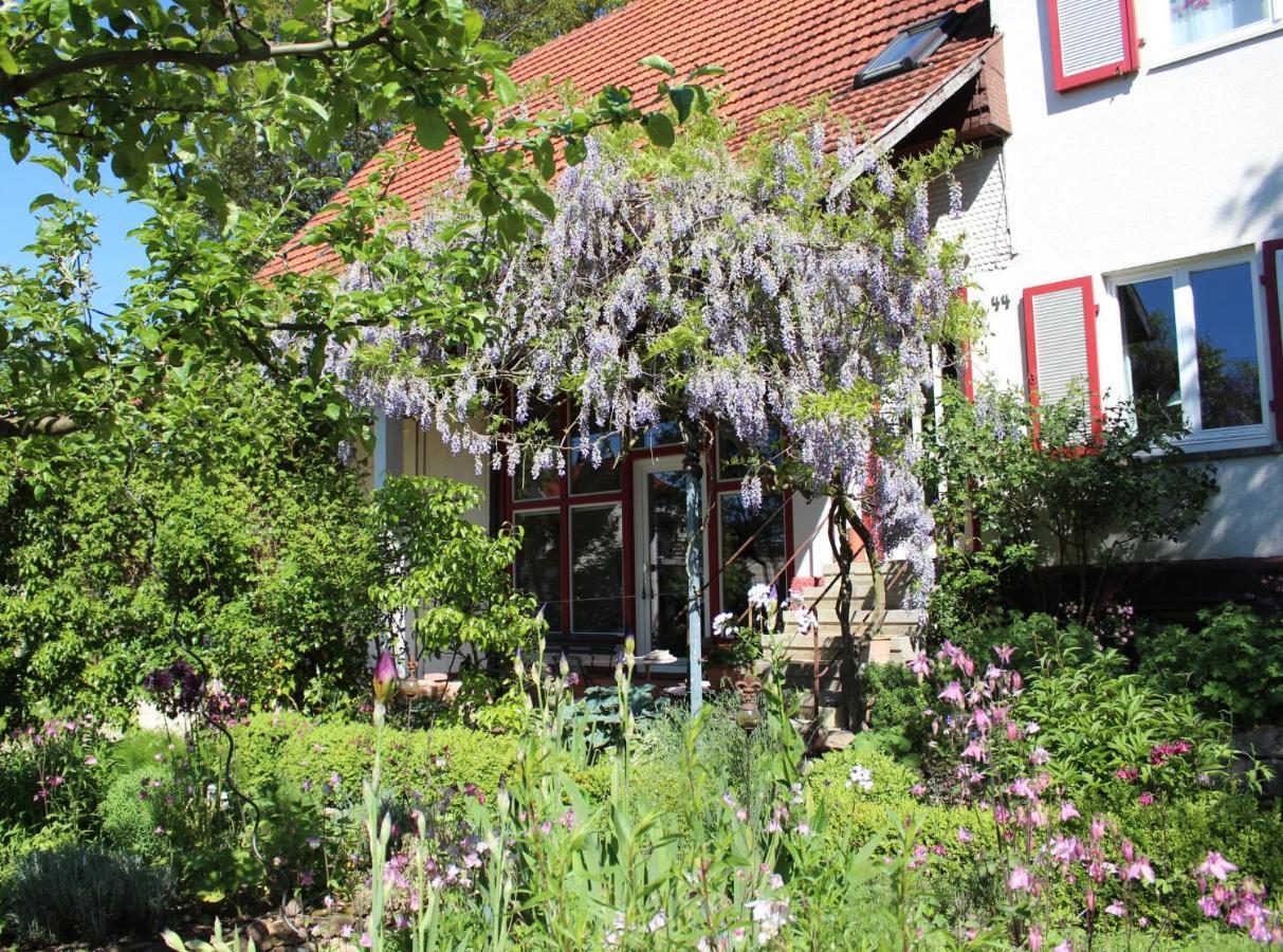 Zur Alten Scheune Balingen Luaran gambar